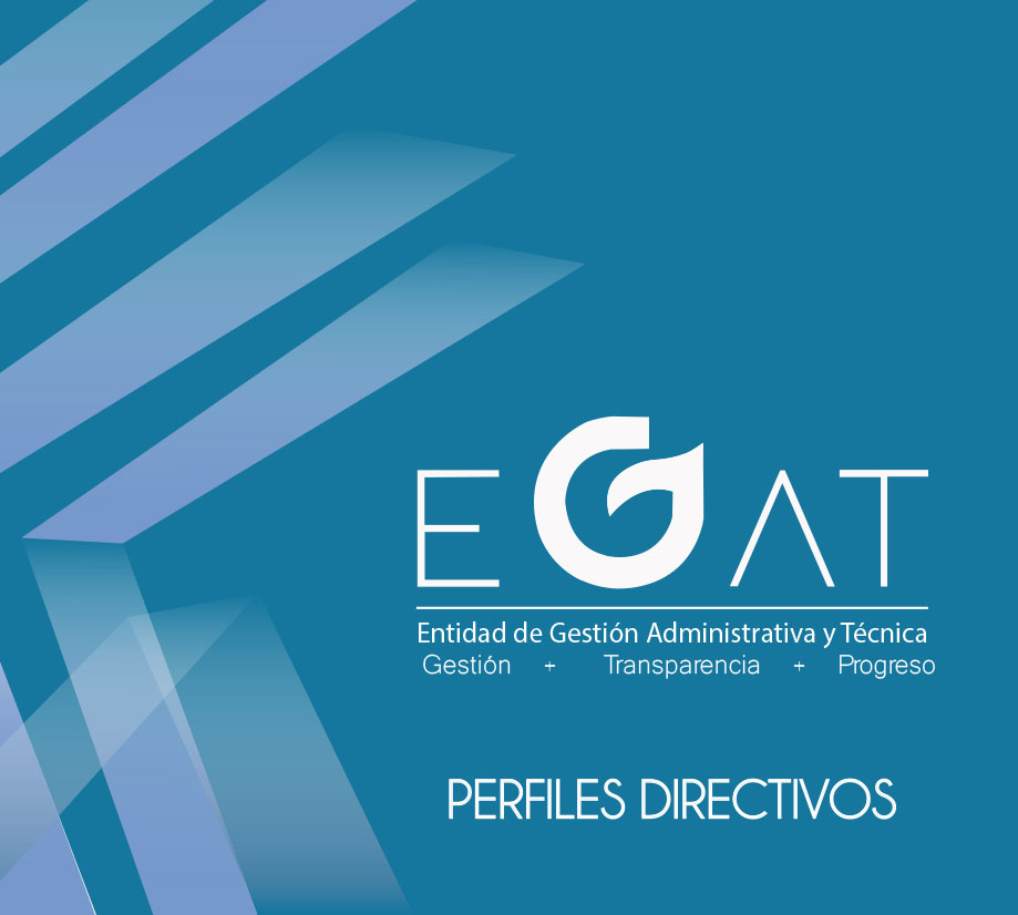 Perfiles Directivos
